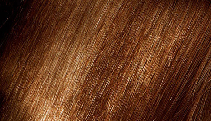 Warme koperbruine haarkleur, kleurwerk van Headz for Hair